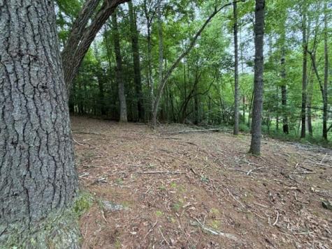 Lot 25 Bentwood Trail Morganton GA 30560