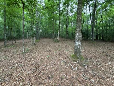 Lot 25 Bentwood Trail Morganton GA 30560