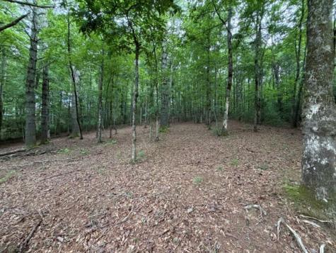 Lot 25 Bentwood Trail Morganton GA 30560