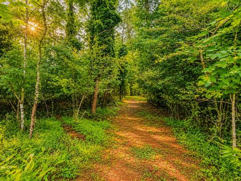 7E Lake Nottely Drive Blairsville GA 30512