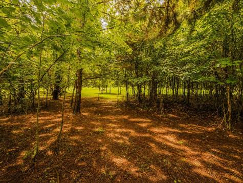 7E Lake Nottely Drive Blairsville GA 30512