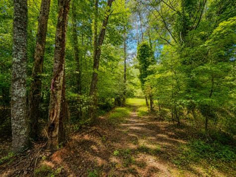 7E Lake Nottely Drive Blairsville GA 30512