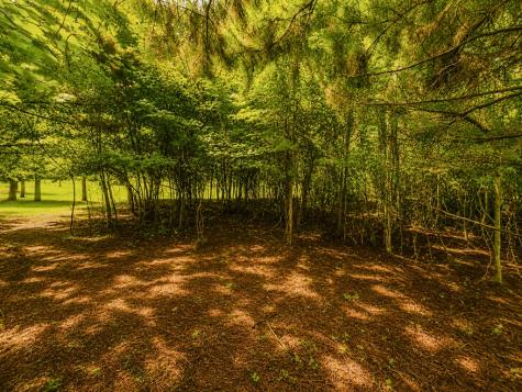 7E Lake Nottely Drive Blairsville GA 30512