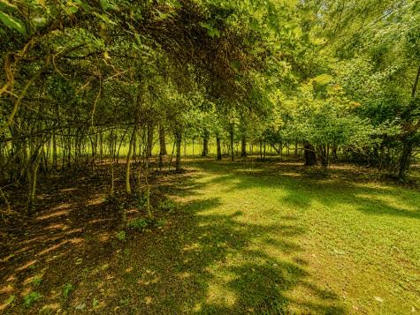 7E Lake Nottely Drive Blairsville GA 30512