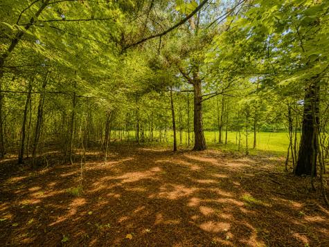 7E Lake Nottely Drive Blairsville GA 30512