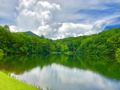 M163 Walnut Ridge Ellijay GA 30336