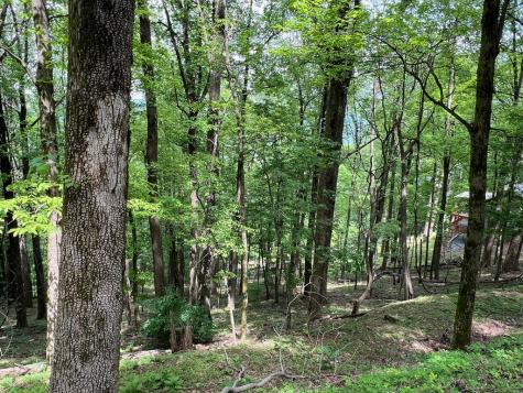 M163 Walnut Ridge Ellijay GA 30336