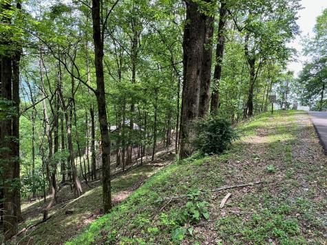 M163 Walnut Ridge Ellijay GA 30336