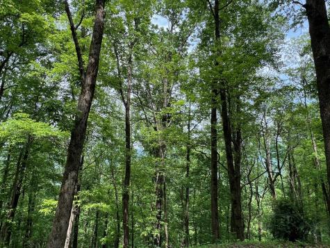 M163 Walnut Ridge Ellijay GA 30336