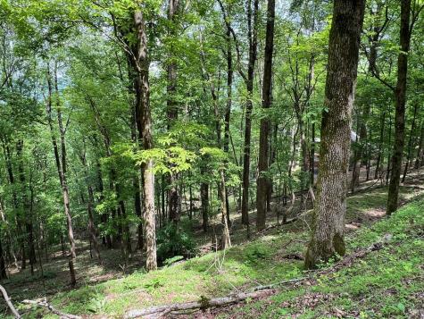 M163 Walnut Ridge Ellijay GA 30336