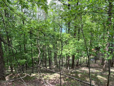 M163 Walnut Ridge Ellijay GA 30336