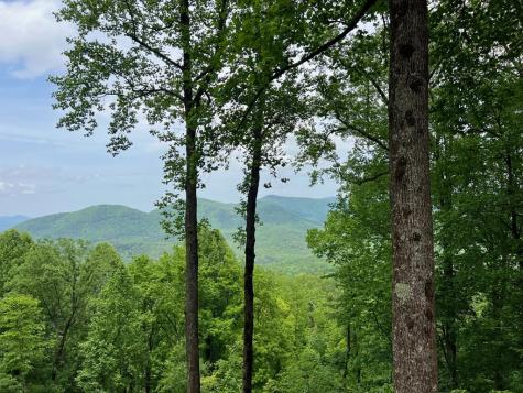 M163 Walnut Ridge Ellijay GA 30336