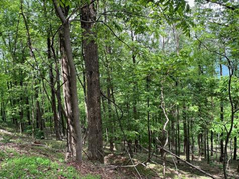 M163 Walnut Ridge Ellijay GA 30336