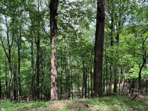 M163 Walnut Ridge Ellijay GA 30336