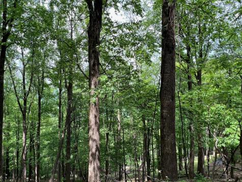 M163 Walnut Ridge Ellijay GA 30336