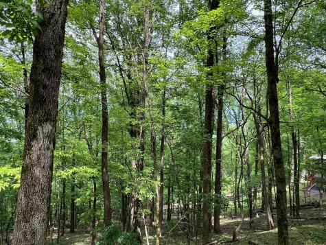 M163 Walnut Ridge Ellijay GA 30336