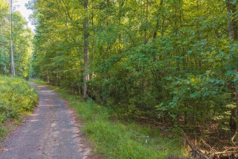 0 Wildwood Trail Talking Rock GA 30175