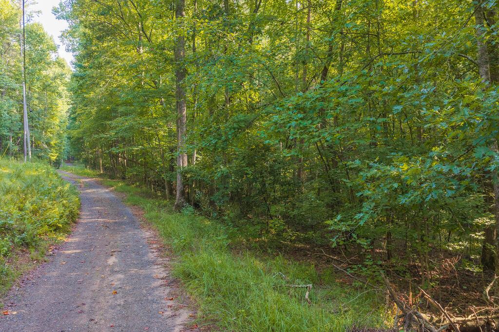 0 Wildwood Trail Talking Rock GA 30175