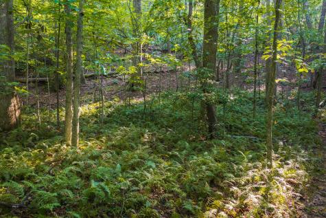0 Wildwood Trail Talking Rock GA 30175