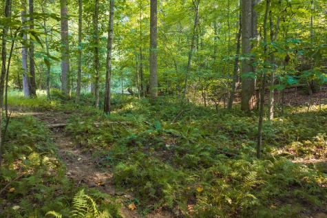 0 Wildwood Trail Talking Rock GA 30175