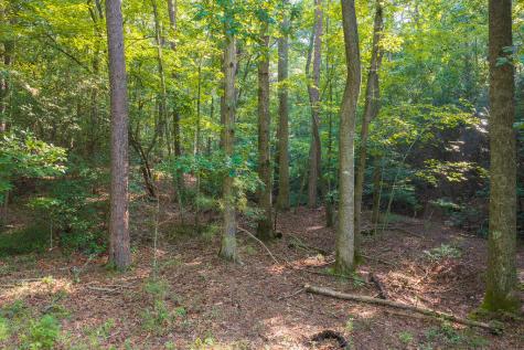 0 Wildwood Trail Talking Rock GA 30175