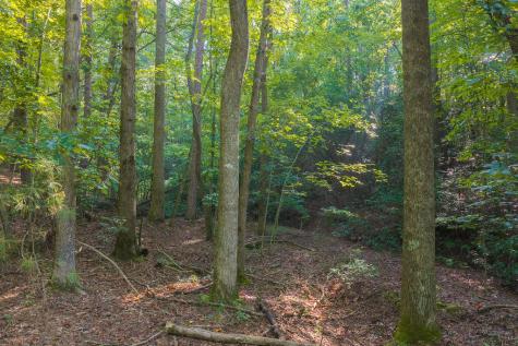 0 Wildwood Trail Talking Rock GA 30175