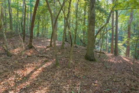 0 Wildwood Trail Talking Rock GA 30175