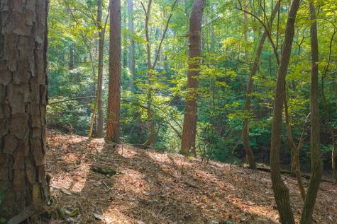 0 Wildwood Trail Talking Rock GA 30175