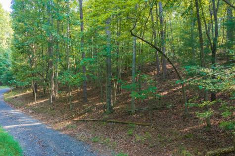0 Wildwood Trail Talking Rock GA 30175