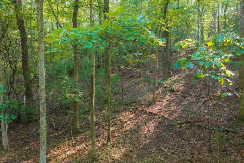 0 Wildwood Trail Talking Rock GA 30175