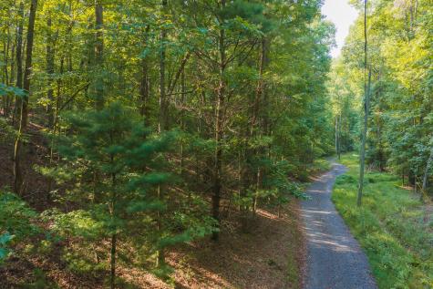 0 Wildwood Trail Talking Rock GA 30175