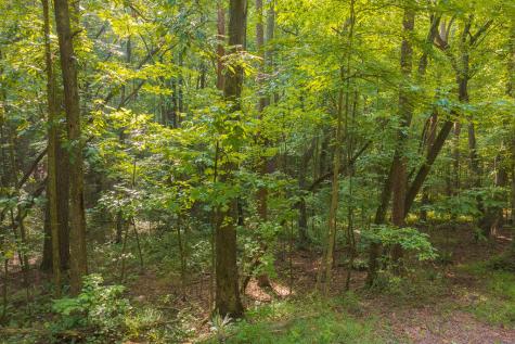 0 Wildwood Trail Talking Rock GA 30175