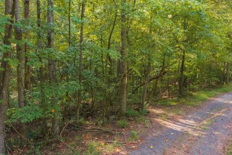 0 Wildwood Trail Talking Rock GA 30175