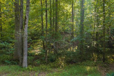 0 Wildwood Trail Talking Rock GA 30175
