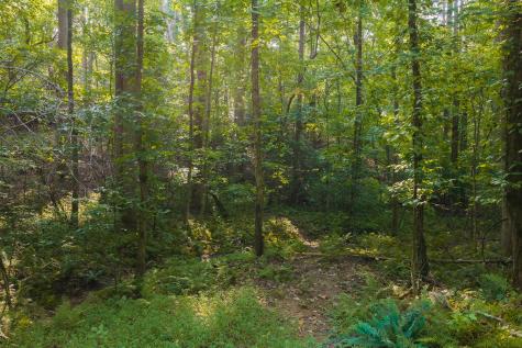 0 Wildwood Trail Talking Rock GA 30175