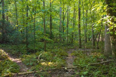 0 Wildwood Trail Talking Rock GA 30175