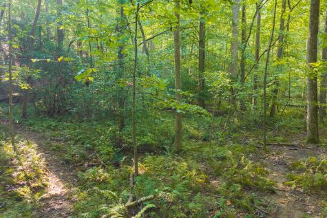 0 Wildwood Trail Talking Rock GA 30175