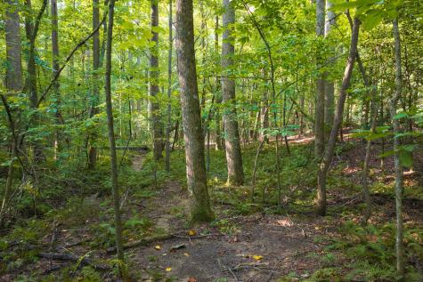 0 Wildwood Trail Talking Rock GA 30175