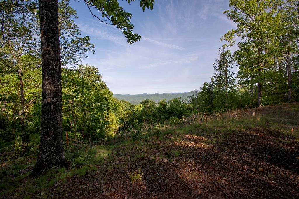 43/44 Timberwood Mountain Estates Marble NC 28905