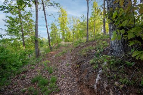 43/44 Timberwood Mountain Estates Marble NC 28905
