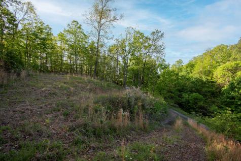 43/44 Timberwood Mountain Estates Marble NC 28905