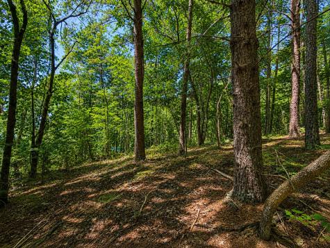 1652 Sable Court Talking Rock GA 30175