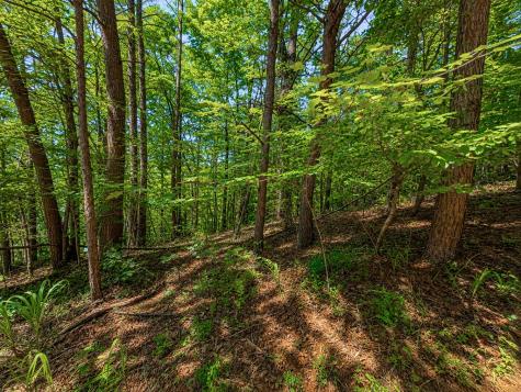 1652 Sable Court Talking Rock GA 30175