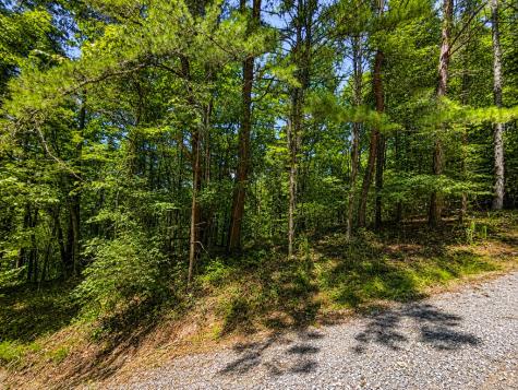 1652 Sable Court Talking Rock GA 30175