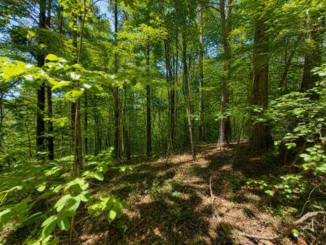 1652 Sable Court Talking Rock GA 30175