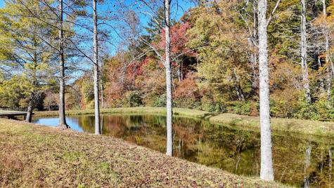 16AC Richards Branch Road Morganton GA 30560