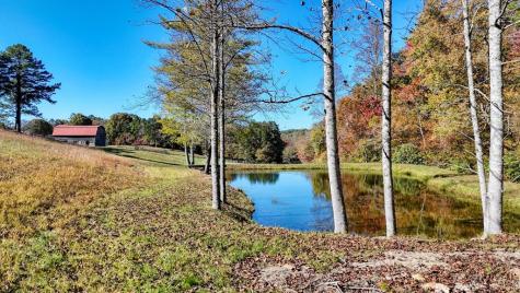 16AC Richards Branch Road Morganton GA 30560