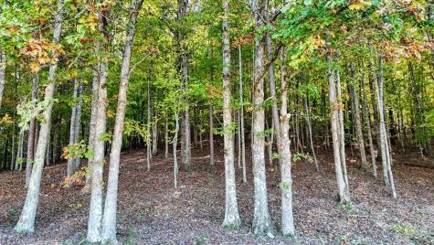 16AC Richards Branch Road Morganton GA 30560