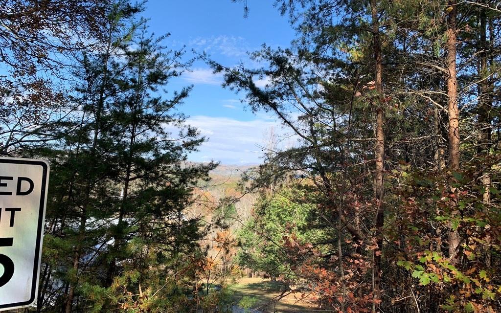 25 Mountain Knoll Lane Warne NC 28909