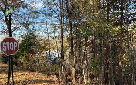 25 Mountain Knoll Lane Warne NC 28909